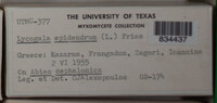 Image Associated With the Occurence